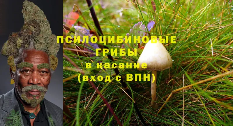 Галлюциногенные грибы MAGIC MUSHROOMS  Кумертау 